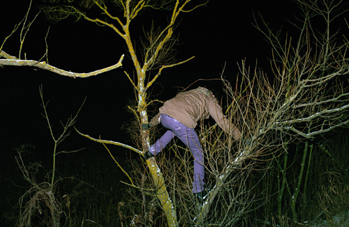 paul herbst photographer photography