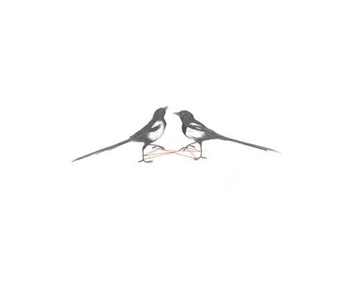 rachel goodyear drawing illustration artist
