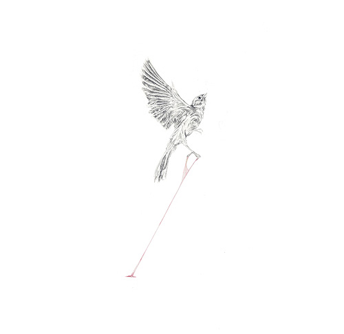 rachel goodyear drawing illustration artist