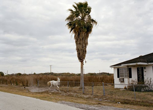 tema stauffer photographer photography