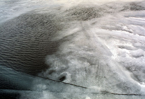 tema stauffer photographer photography