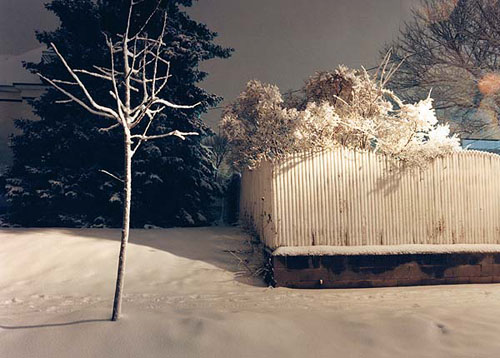tema stauffer photographer photography