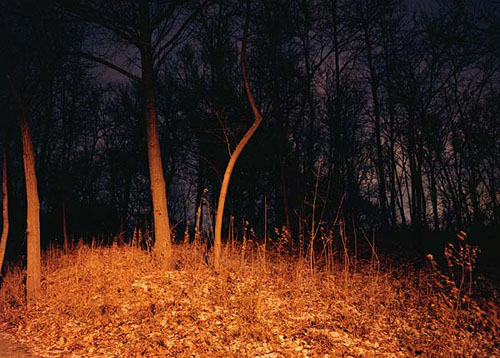 tema stauffer photographer photography