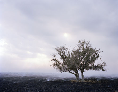 tema stauffer photographer photography
