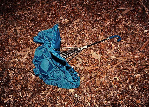 tema stauffer photographer photography