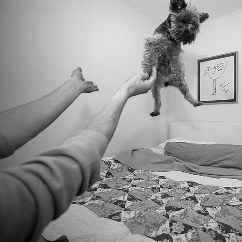 tommy forbes photography photographer