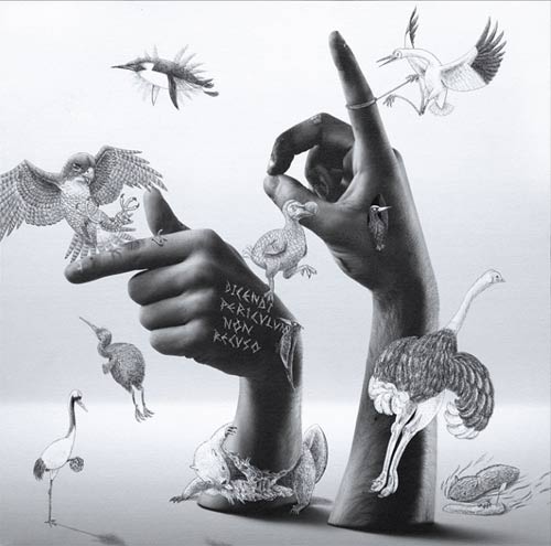 truly design visual communication studio