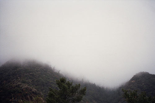 aimee brodeur photography photographer