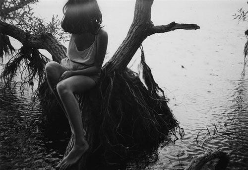 alison scarpulla photographer photography