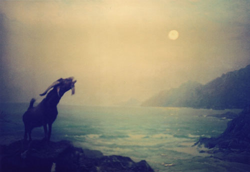 alison scarpulla photographer photography