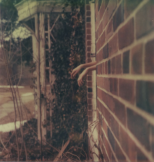 alison scarpulla photographer photography