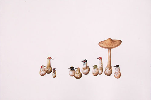 amy ross implausible hybrid creatures drawing art