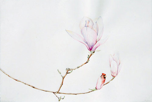 amy ross implausible hybrid creatures drawing art