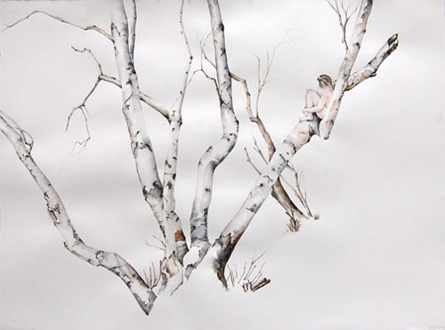 amy ross implausible hybrid creatures drawing art