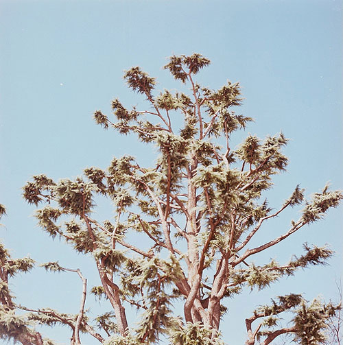 benjamin acree photography photographer