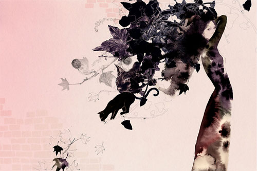 cecilia carlstedt illustration illustrator