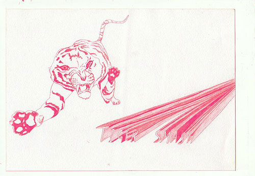 charlotte traynor drawings illustration illustrator