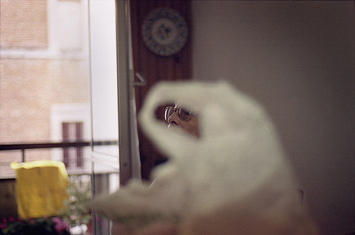 chiara balza photographer photography