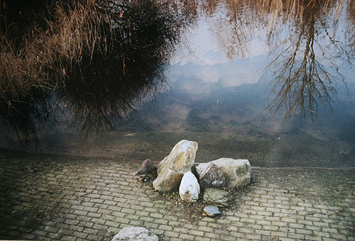 eva vant loo photographer photography booooooom flickr pool