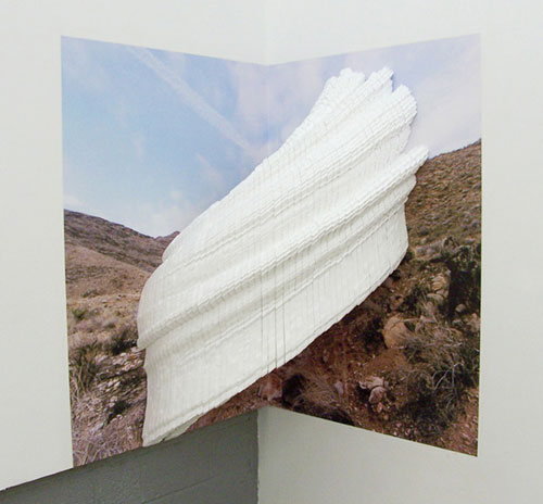 letha wilson art photo sculptures artist project