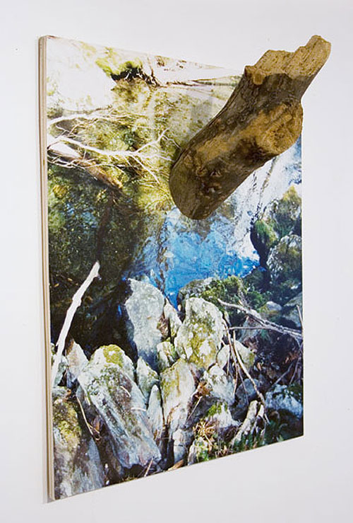 letha wilson art photo sculptures artist project