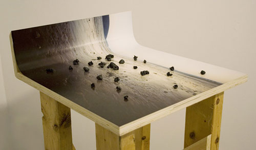 letha wilson art photo sculptures artist project