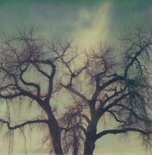 lindsay josal photographer photography lomo polaroid 35mm