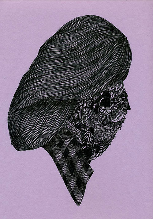 merijn hos illustration illustrator