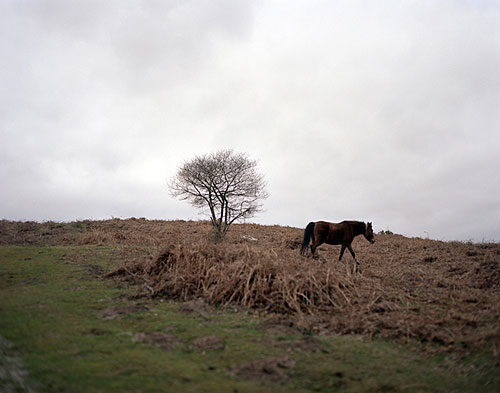 natasha kaser photographer photography
