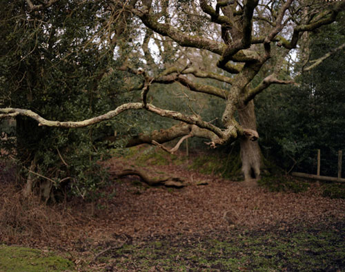 natasha kaser photographer photography