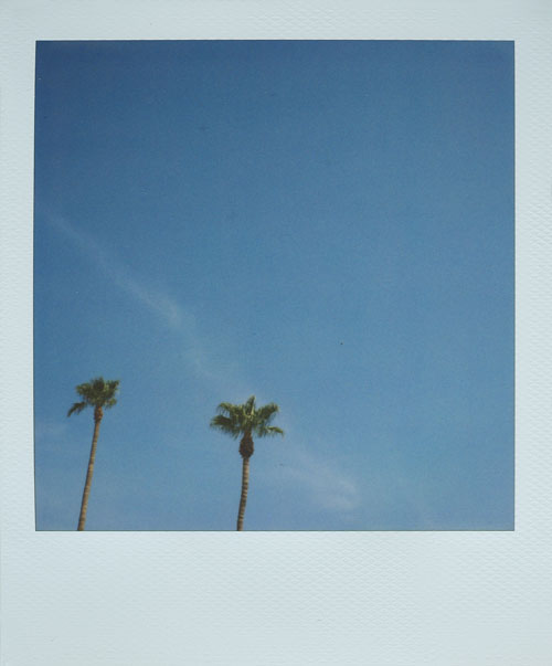 patrick tobin ten minutes photography photographer holga polaroid film
