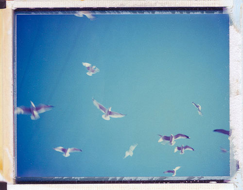 patrick tobin ten minutes photography photographer holga polaroid film
