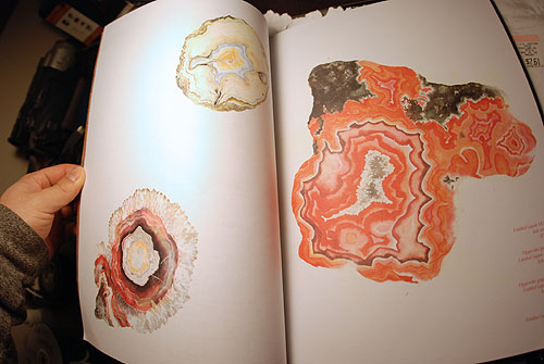 plazm magazine portland music art