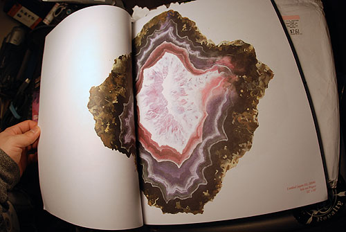 plazm magazine portland music art
