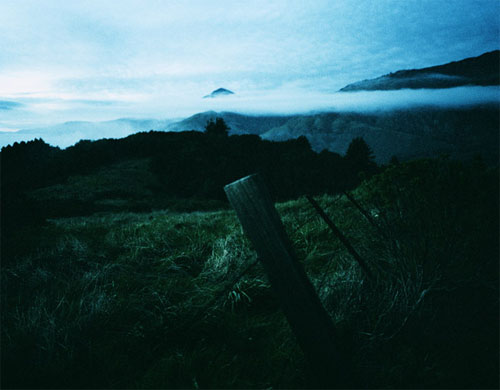 sarah wilmer photographer photography