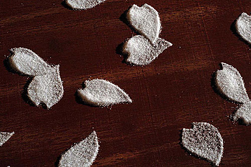 motoi yamamoto theme magazine salt design artist art