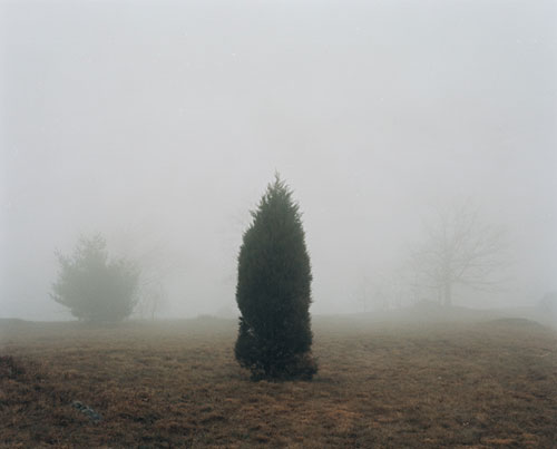 brice matson photography photographer