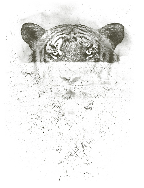 brock davis illustrator illustration