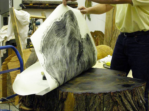 bryan nash gill tree stump cross section relief print
