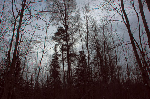 gena morgese photographer photography