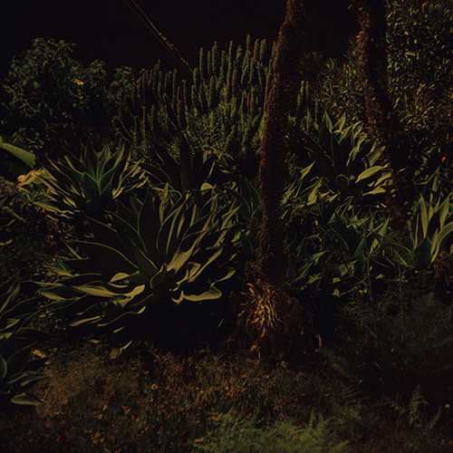 kamden vencill photographer photography
