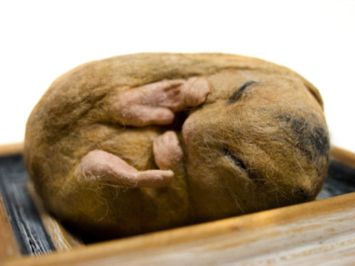 kyoko okubo figure animal
