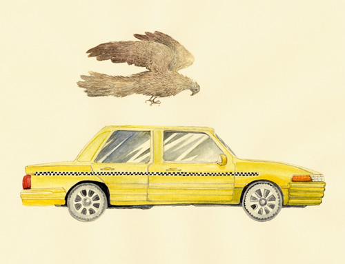 lotte geeven artist drawing photography installation