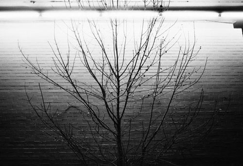 paul louis nelson photographer photography