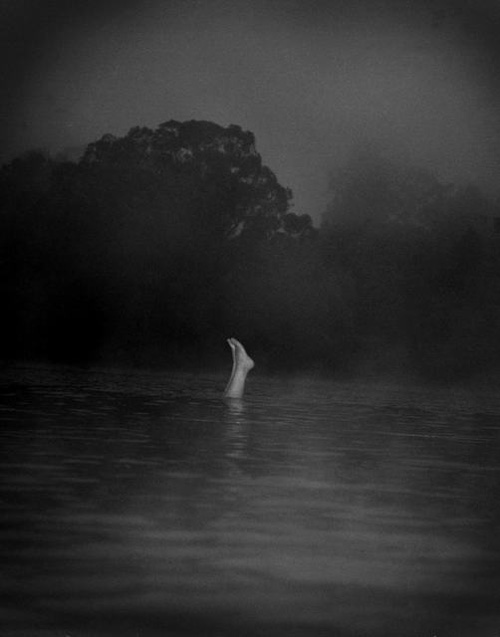 paul schiek photography photographer