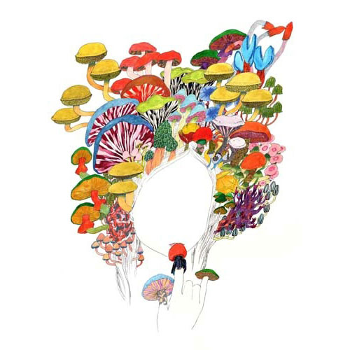sachiko kanaizumi illustrator illustration