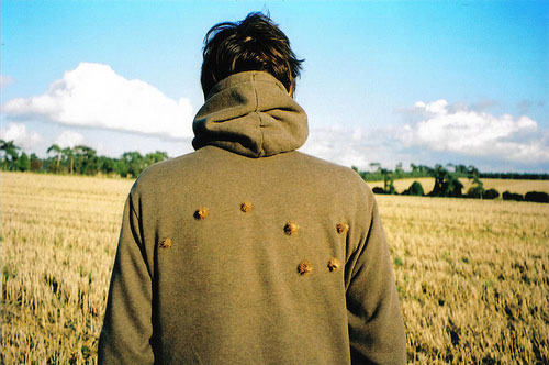 sophie curtis photographer photography