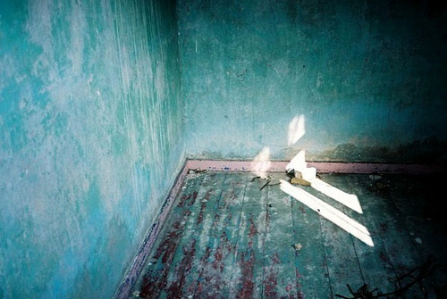 sophie curtis photographer photography
