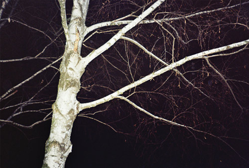 ana kras photographer photography serbia