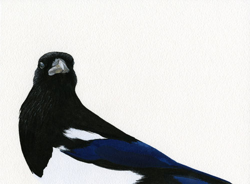 carrie marill gouache painting drawing